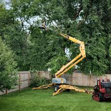 Reliable South El Monte, CA Tree Removal and Landscaping Services Solutions